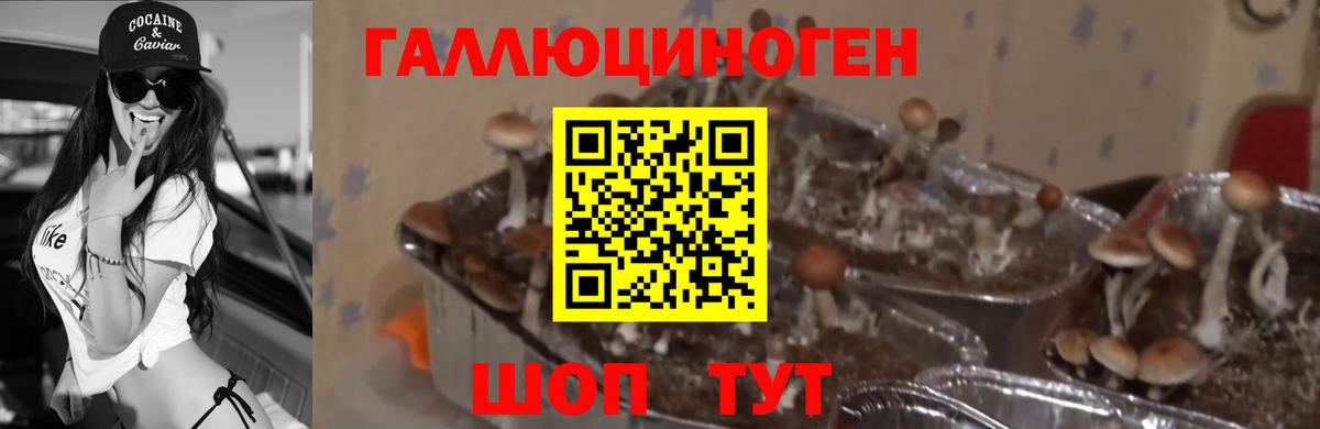 Псилоцибиновые грибы Magic Shrooms Трёхгорный